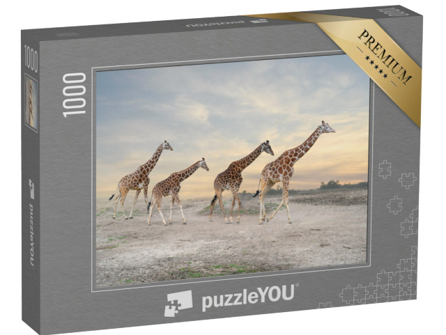 puzzle 1000 dílků „Stádo žiraf“