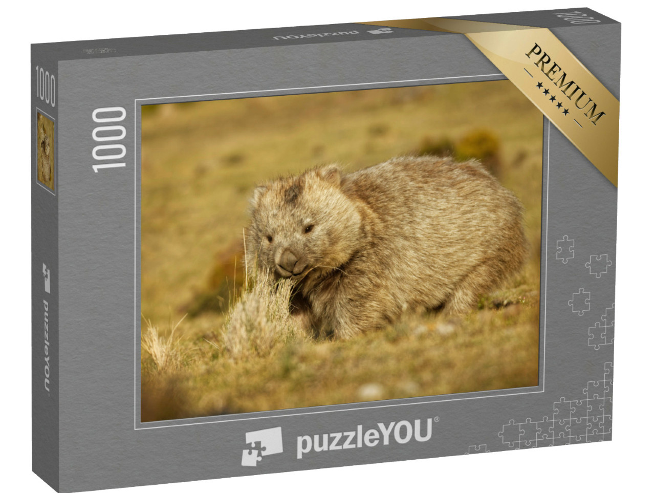 puzzle 1000 dílků „Vombat v Tasmánii v noci“