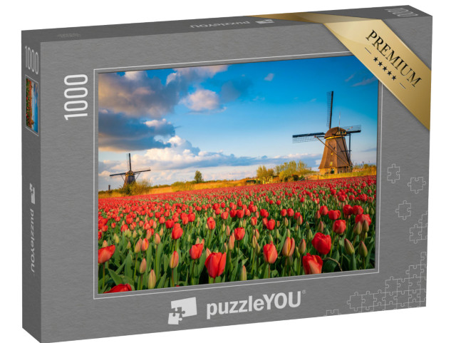 puzzle 1000 dílků „Holandská krajina s větrnými mlýny a květy tulipánů“