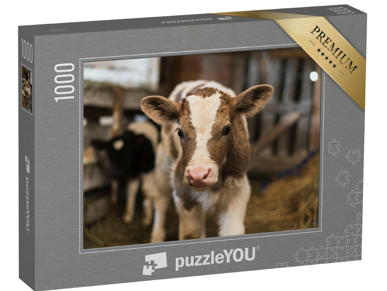 puzzle 1000 dílků „Roztomilé telátko v útulné stáji“