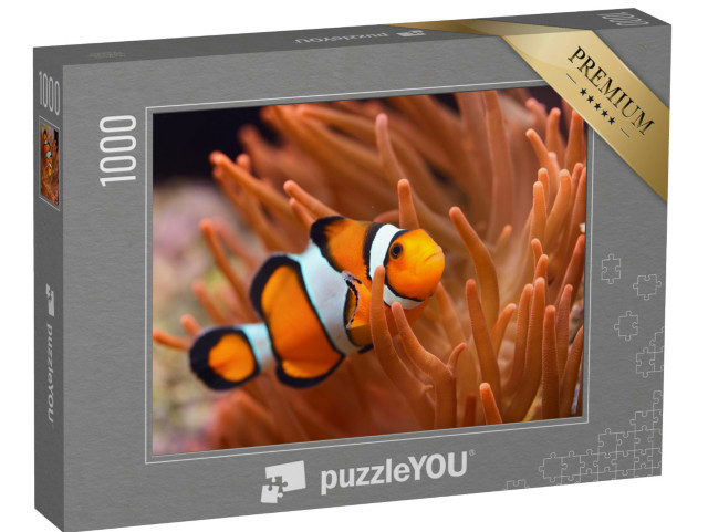 puzzle 1000 dílků „Klauni v mořském akváriu“