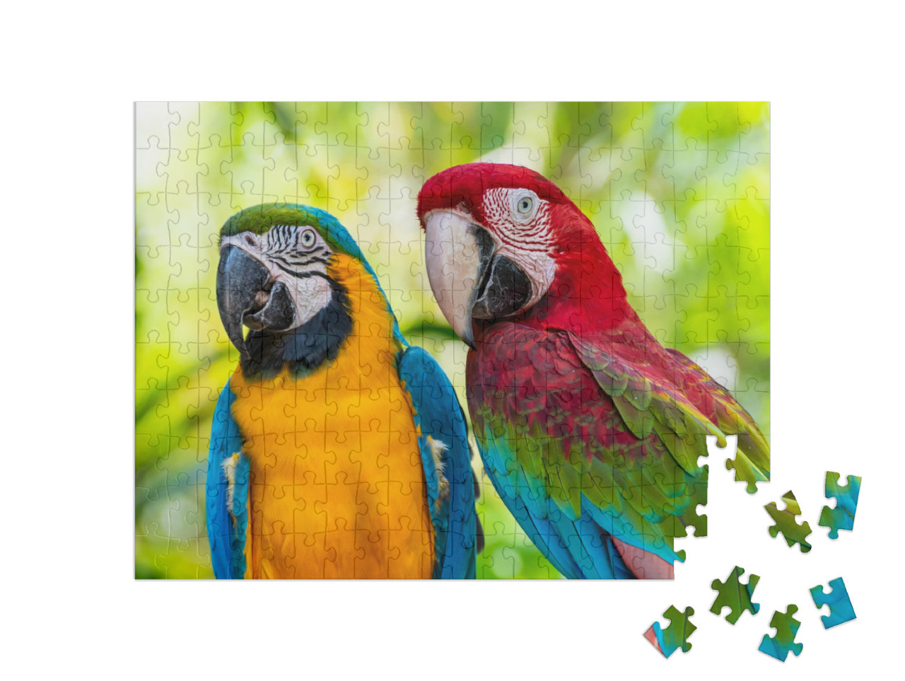 puzzle 200 dílků „Papoušek, Macaw“
