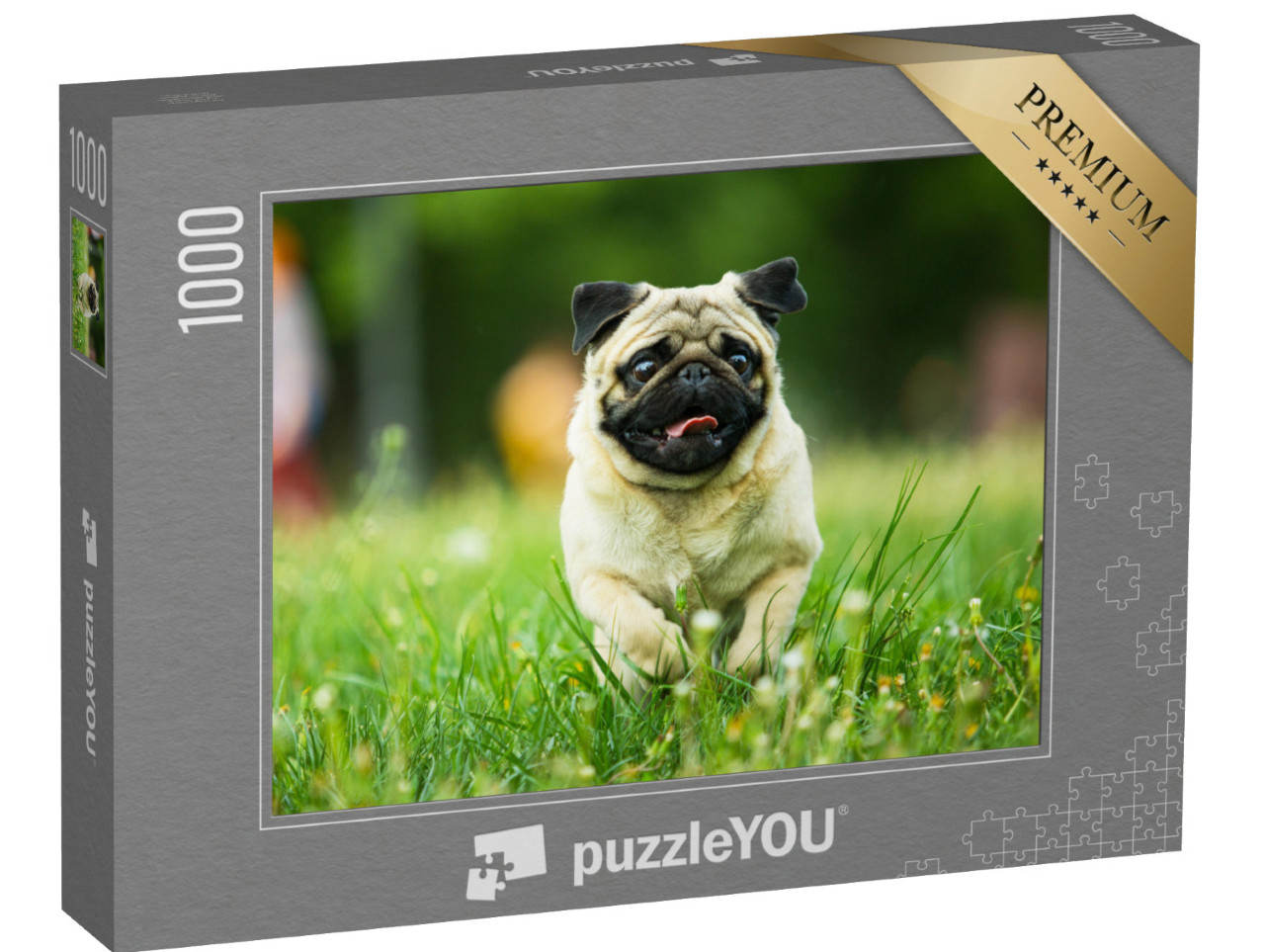 puzzle 1000 dílků „Mops s vyplazeným jazykem na louce“