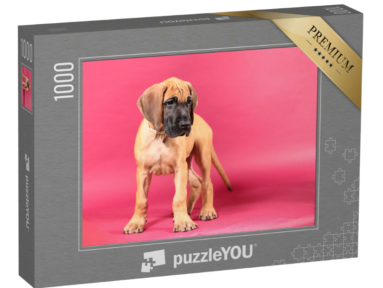 puzzle 1000 dílků „Plavovlasá německá doga“
