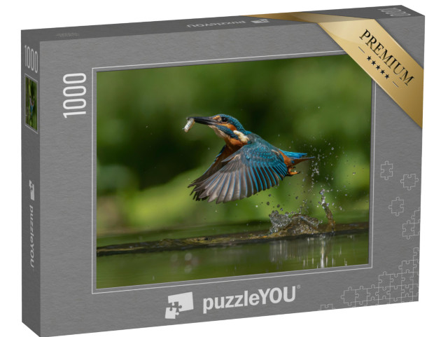 puzzle 1000 dílků „Zimolez obecný, Alcedo atthis s rybou jako kořistí“