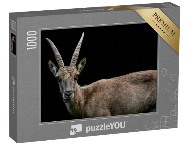puzzle 1000 dílků „Detail samice kozorožce alpského“