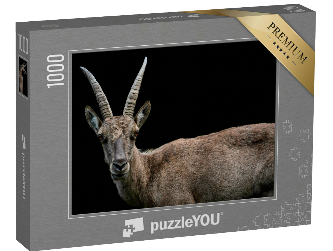 puzzle 1000 dílků „Detail samice kozorožce alpského“