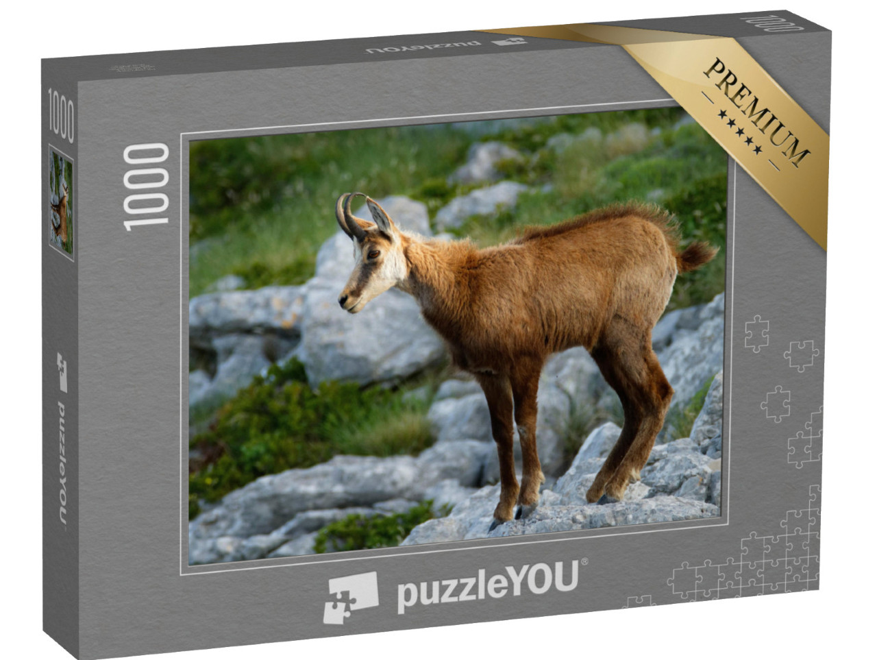 puzzle 1000 dílků „Kamzíci v přírodním parku Biokovo, Chorvatsko“