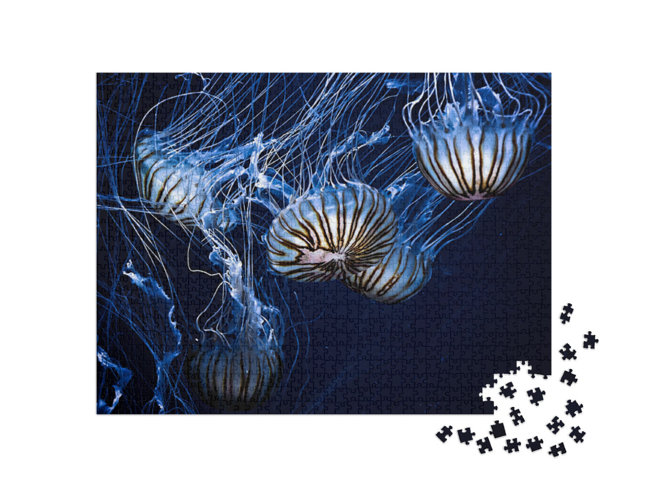 puzzle 1000 dílků „Magicky zářící medúzy ve tmě pod vodou“