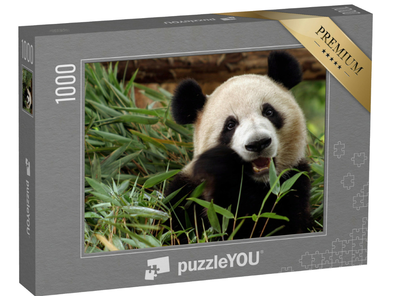 puzzle 1000 dílků „Panda velká si pochutnává na bambusu“