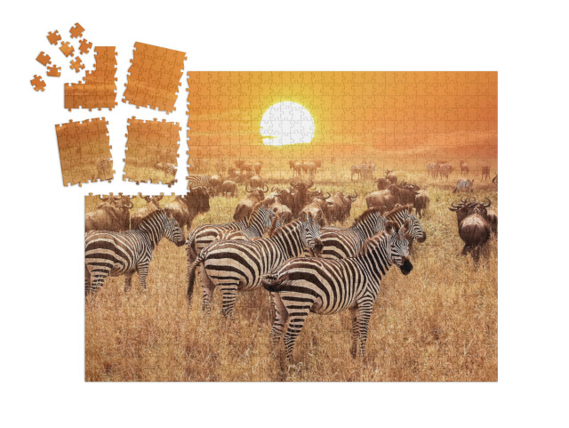 SMART SORTED® | Puzzle 1000 dílků „Zebra při západu slunce v národním parku Serengeti, Afrika, Tanzanie“