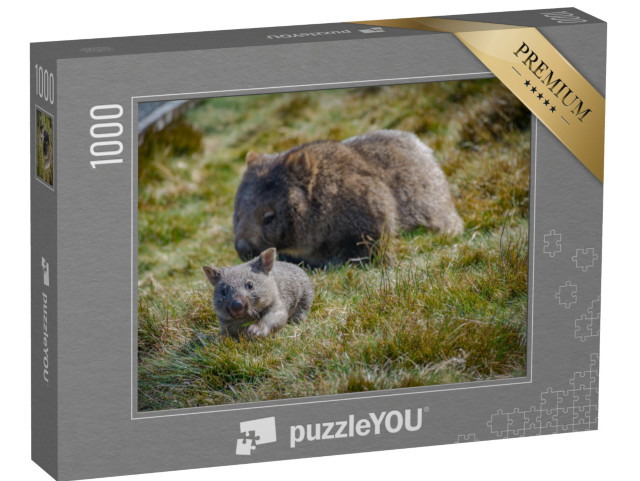 puzzle 1000 dílků „Maminka vombata s mládětem, Tasmánie, Austrálie“