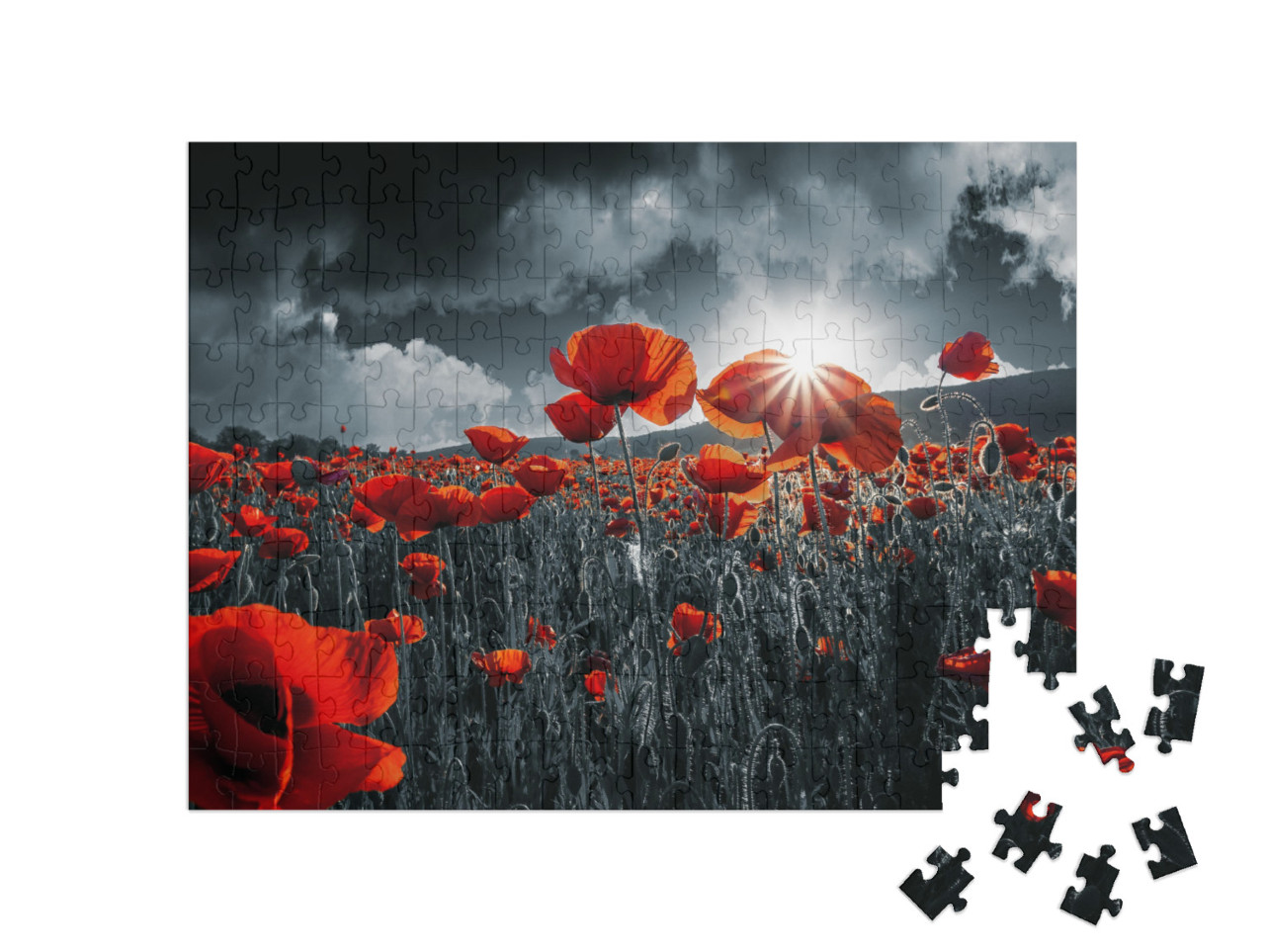 puzzle 200 dílků „Červené máky“