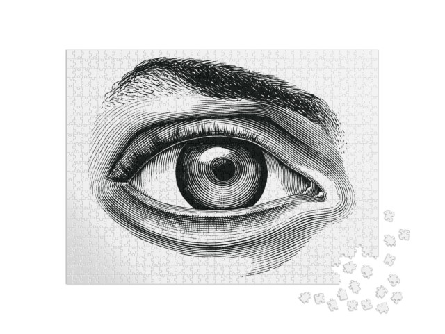 puzzle 1000 dílků „Anatomie lidského oka Ruční kresba Vintage Clip Art Izolované...“