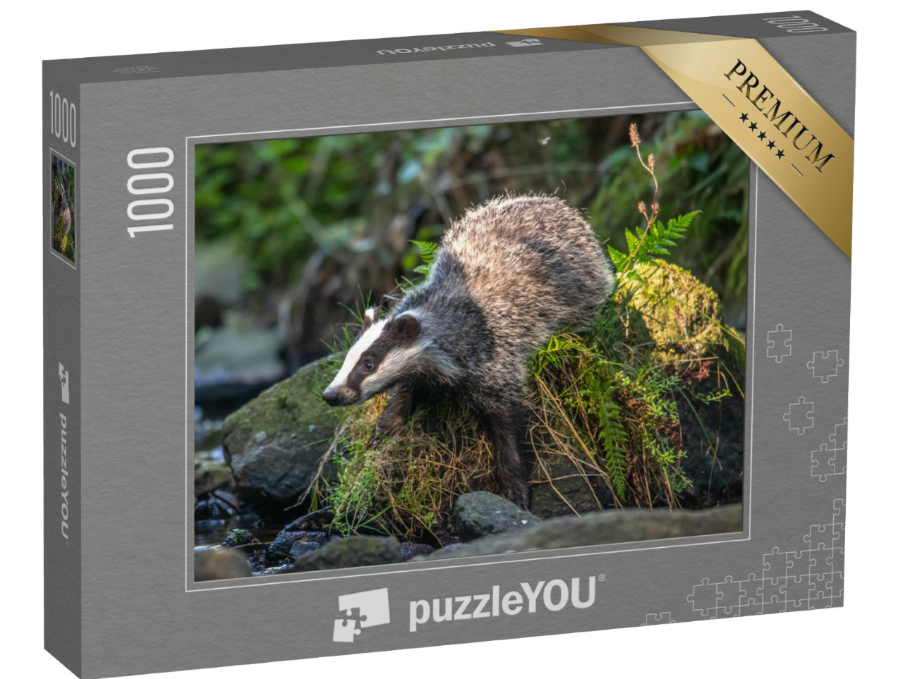 puzzle 1000 dílků „Jezevec v lese v Německu“