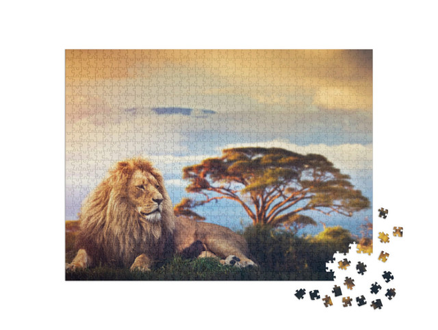 puzzle 1000 dílků „Lev leží uprostřed savany před Kilimandžárem“