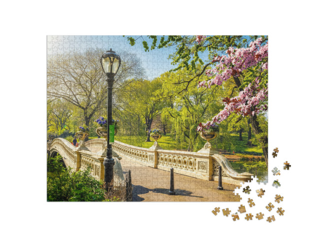 puzzle 1000 dílků „Světoznámý obloukový most v Central Parku v New Yorku“