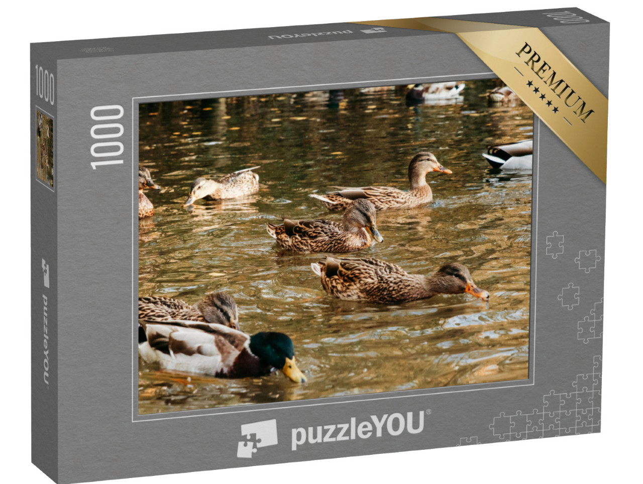 puzzle 1000 dílků „Velké hejno kachen jí na jezeře chléb“