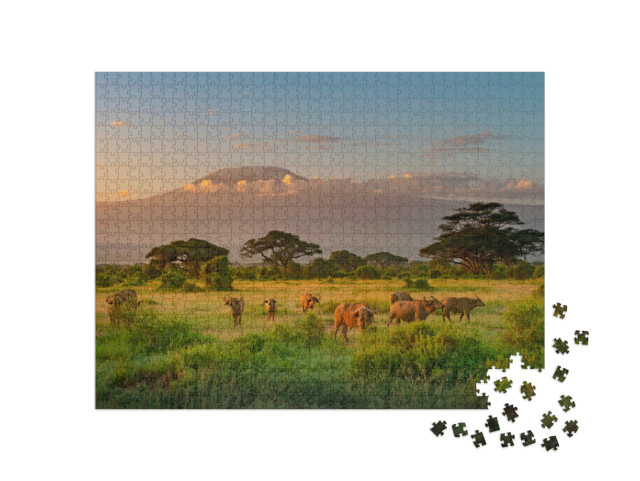 puzzle 1000 dílků „Ranní atmosféra na Kilimandžáru, Afrika“