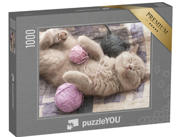 puzzle 1000 dílků „Spící lila kotě, roztomilé“