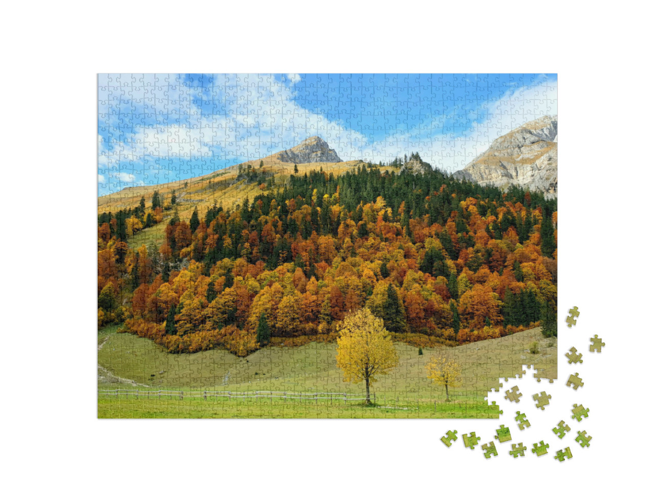 puzzle 1000 dílků „Großer Ahornboden s podzimními javory, Tyrolsko“