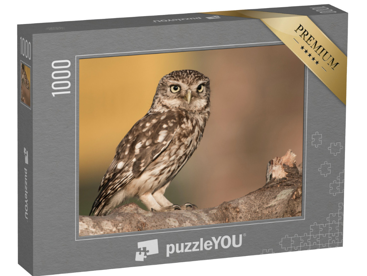 puzzle 1000 dílků „Malá sova na větvi“