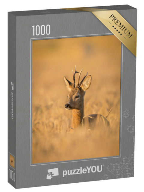 puzzle 1000 dílků „Roebuck v poli klasů“