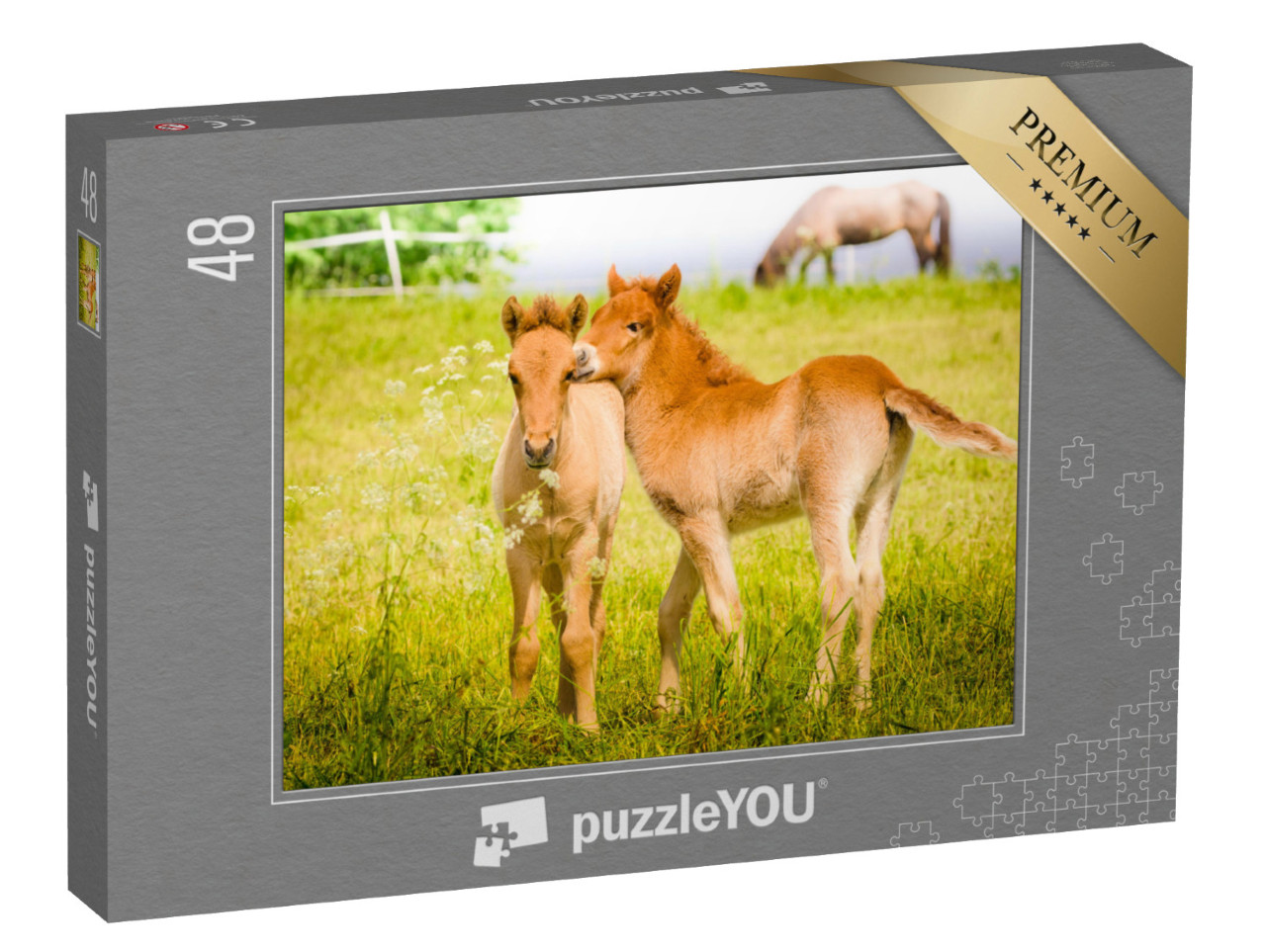 puzzle 48 dílků „Hříbata hrající si na louce“