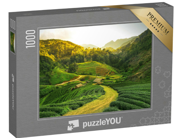 puzzle 1000 dílků „Pohled na čajovou plantáž při východu slunce, Keňa, Afrika“