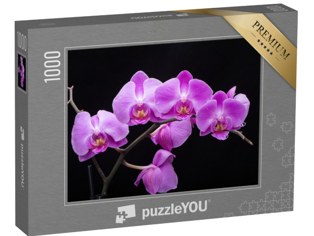 puzzle 1000 dílků „Květ orchideje“