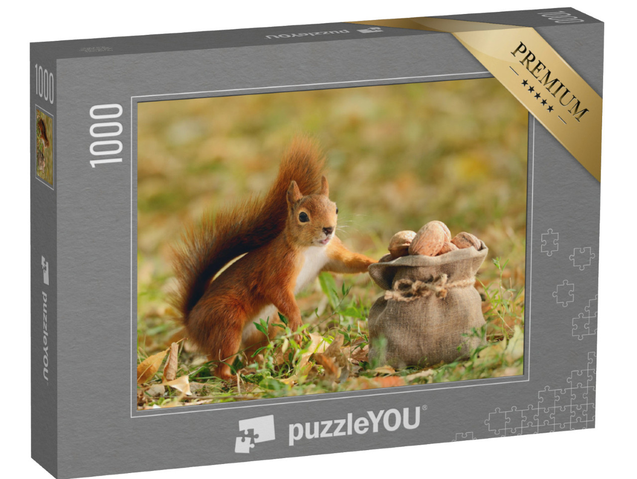 puzzle 1000 dílků „Portrét veverky červené, která drží pytel ořechů“