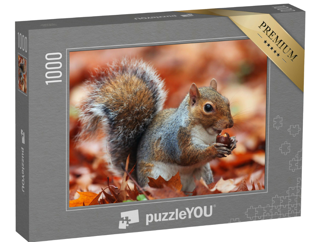 puzzle 1000 dílků „Veverka na podzim se žaludem“