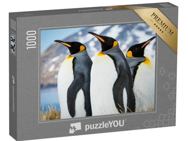 puzzle 1000 dílků „Tučňáci císařští na Jižní Georgii“