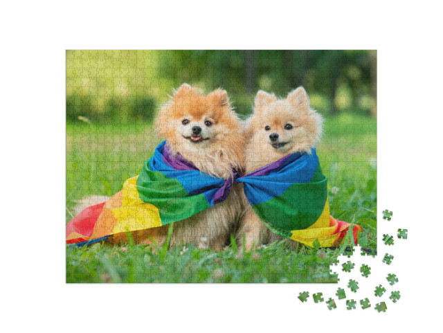 puzzle 1000 dílků „Dva šťastní přátelé pomeranianští špicové ležící na t“