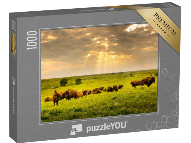 puzzle 1000 dílků „Stádo bizonů se potuluje po Kansasu“