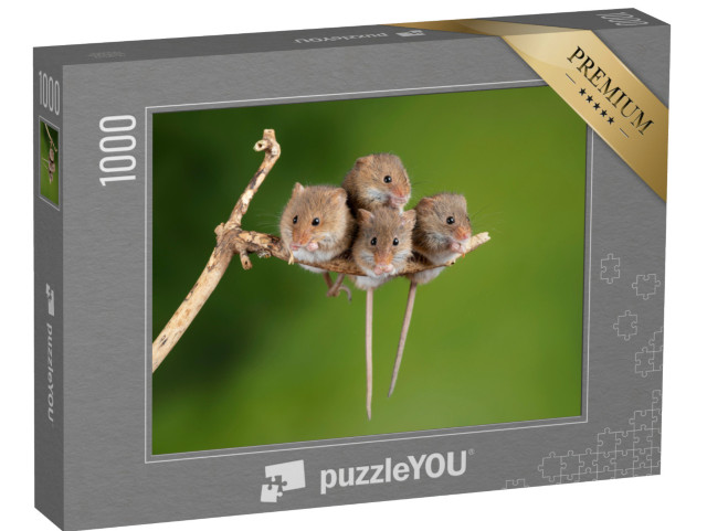 puzzle 1000 dílků „Čtyři roztomilé myšky na malé větvi“