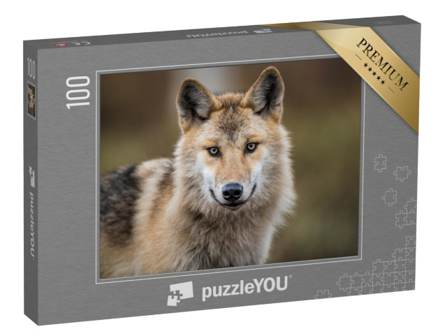 puzzle 100 dílků „Portrét vlka šedého, známého také jako vlk lesní“