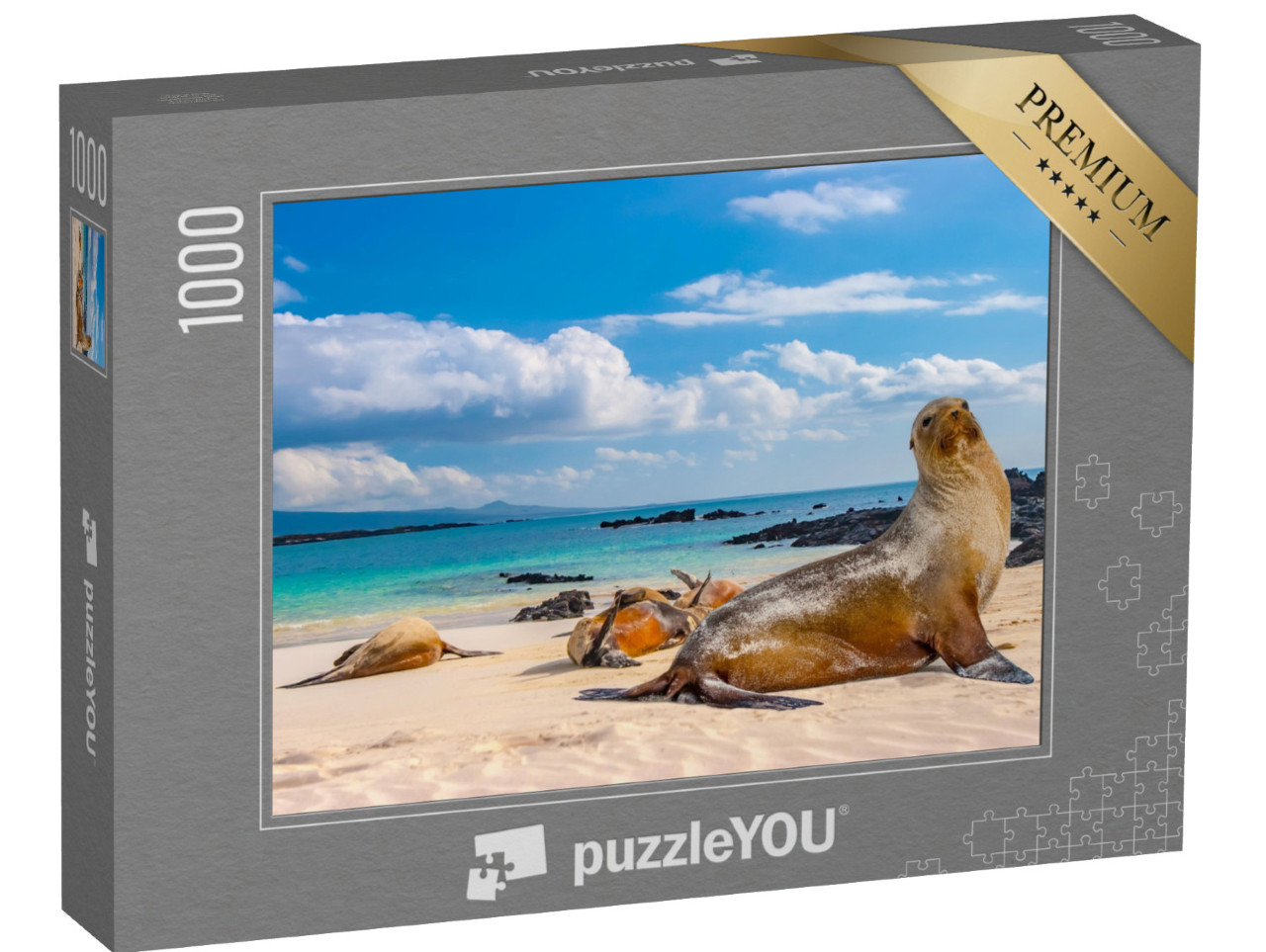 puzzle 1000 dílků „Tuleni na pláži Galapág, Ekvádor“