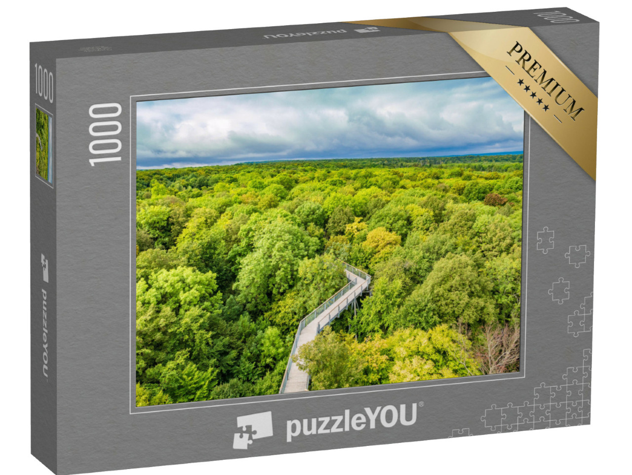 puzzle 1000 dílků „Procházka bukovými lesy v národním parku Hainich, Německo“