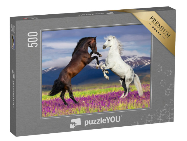 puzzle 500 dílků „Divoká krása: Dva tančící koně“
