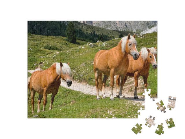puzzle 200 dílků „Tři haflingští koně na horské pastvině v Jižním Tyrolsku, Itálie“