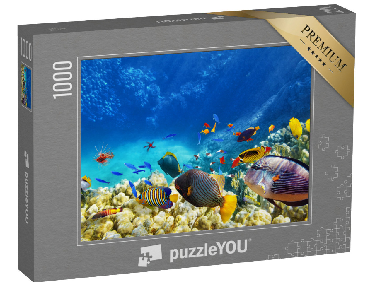 puzzle 1000 dílků „Podmořský svět s korály a tropickými rybami“