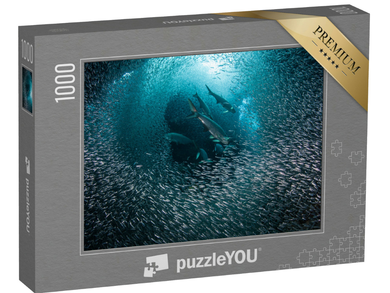 puzzle 1000 dílků „Dravé ryby na lovu v hejnu ryb“