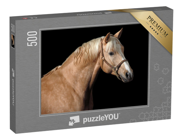 puzzle 500 dílků „Kůň Palomino“