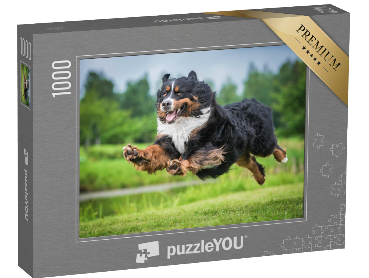 puzzle 1000 dílků „Skákání bernského salašnického psa“