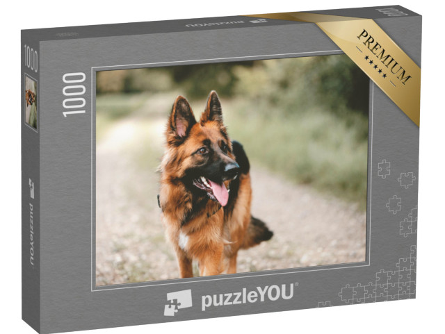 puzzle 1000 dílků „Detailní záběr německého ovčáka“