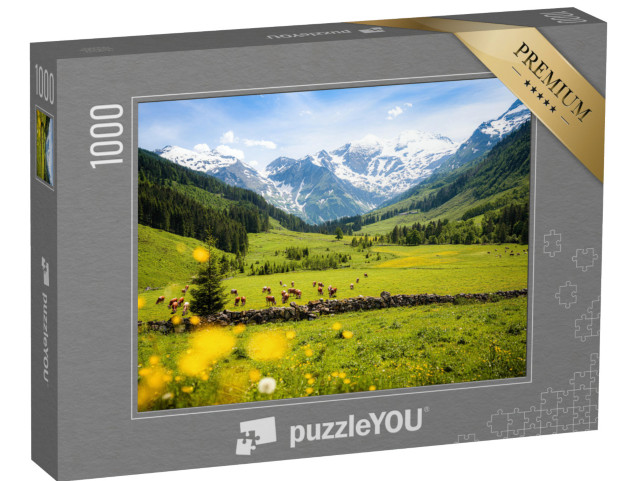 puzzle 1000 dílků „Venkovská alpská krajina s kravami, Národní park Vysoké Taury“