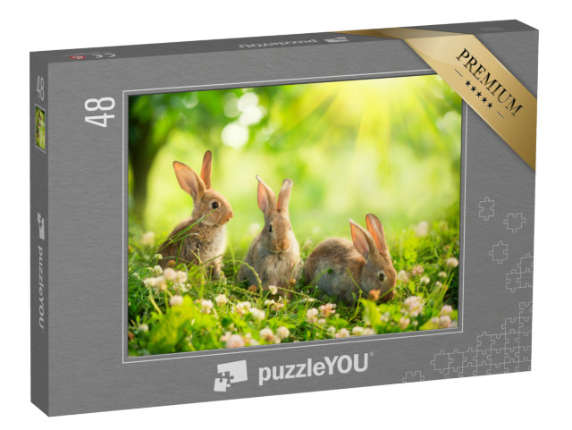 puzzle 48 dílků „Roztomilí králíci na jarní louce“