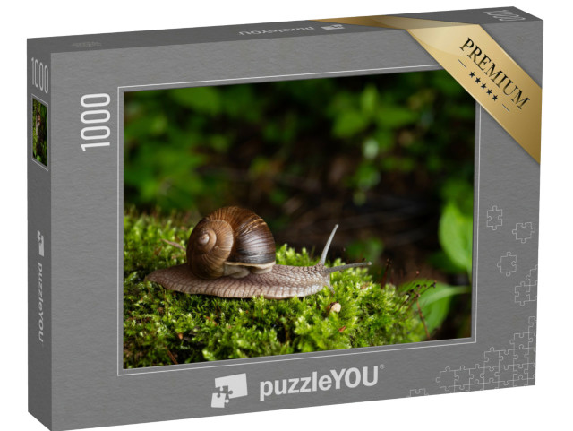 puzzle 1000 dílků „Hlemýžď ve svém přirozeném prostředí“