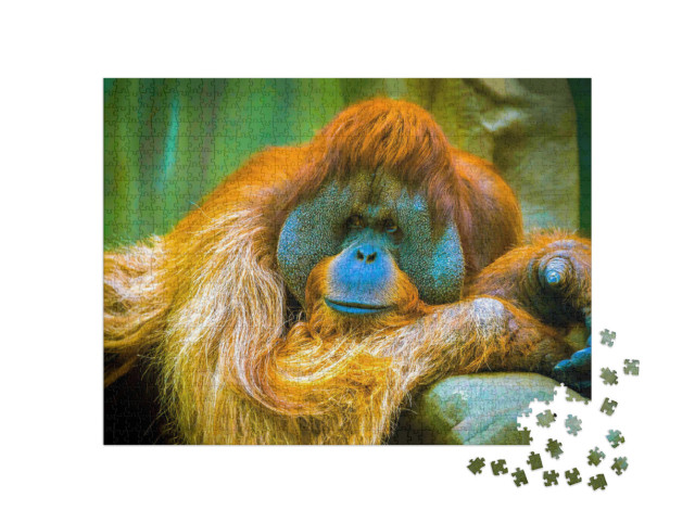 puzzle 1000 dílků „Orangutan je v zamyšlení“